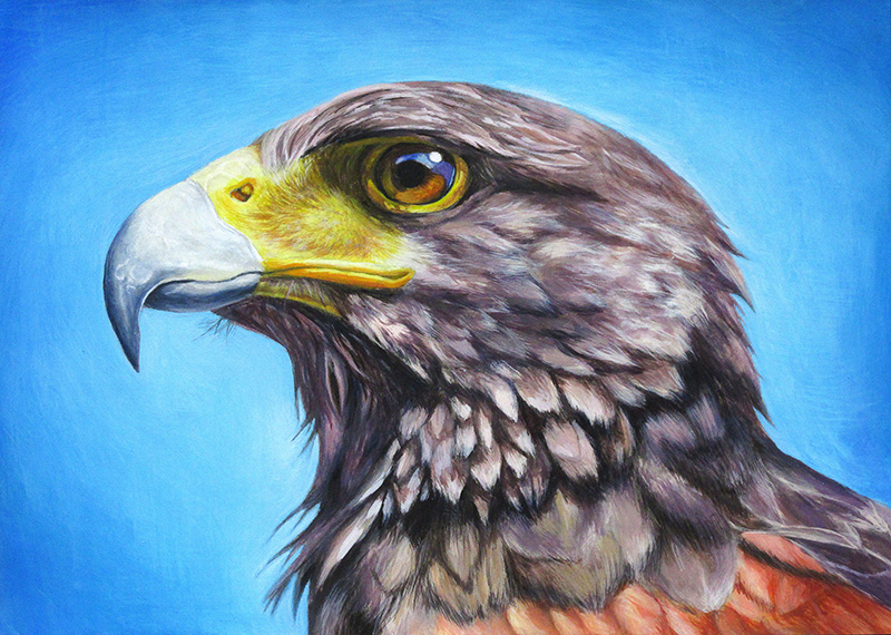 中学校２年生、Kさん