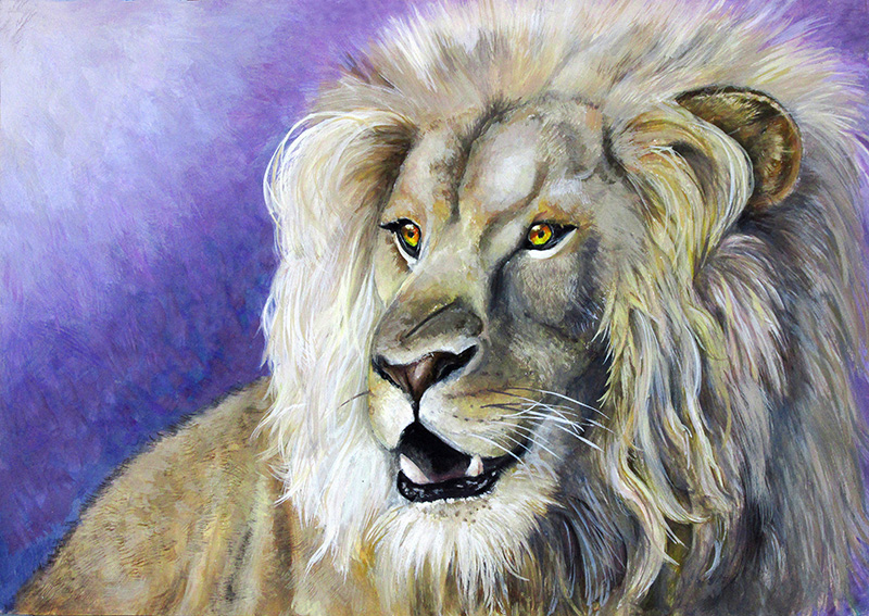 中学校２年生、Tさん