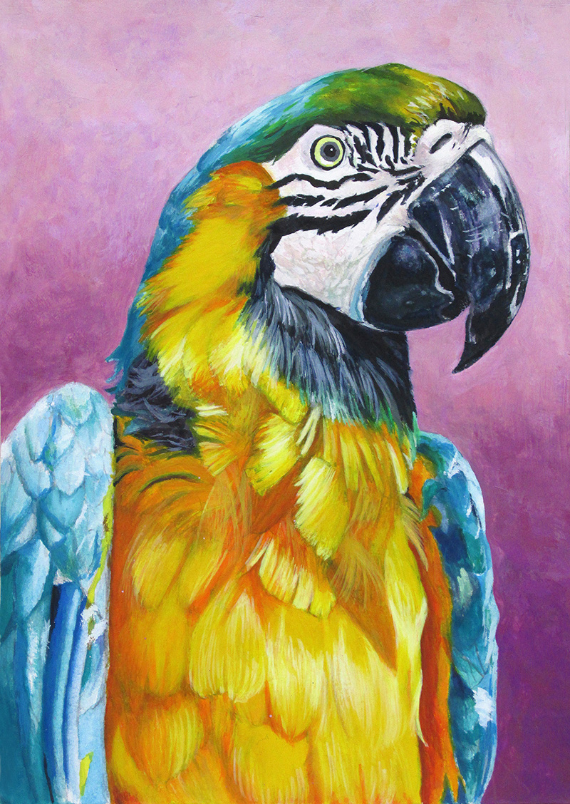 中学校１年生、Iさん