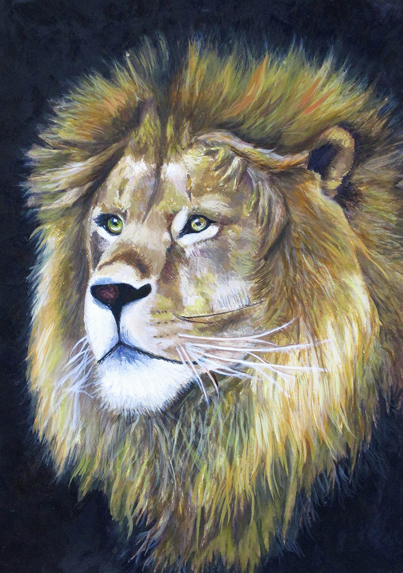 中学２年生、Tくん